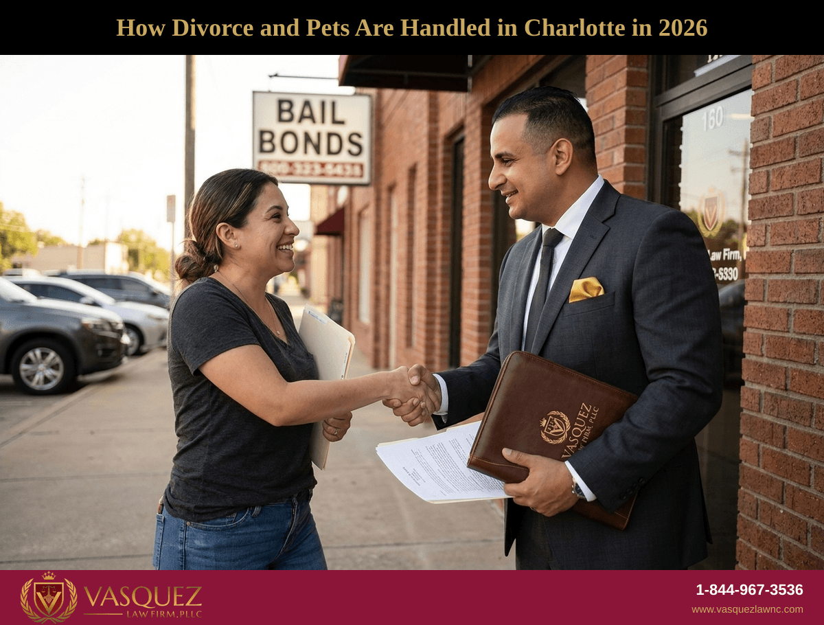 Divorcio y Mascotas en Charlotte en 2026: Lo Que Debes Saber Sobre la Custodia