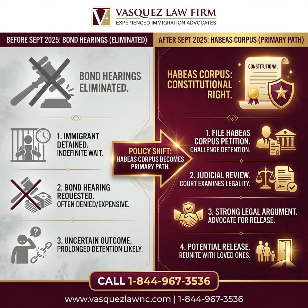 Estadísticas Clave y Datos para Habeas Corpus: Clave para Defender tu Libertad en 2026