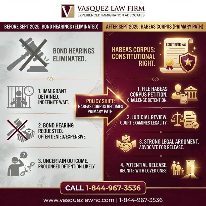 Key Statistics and Data for What Is Habeas Corpus and How It Protects You in 2026