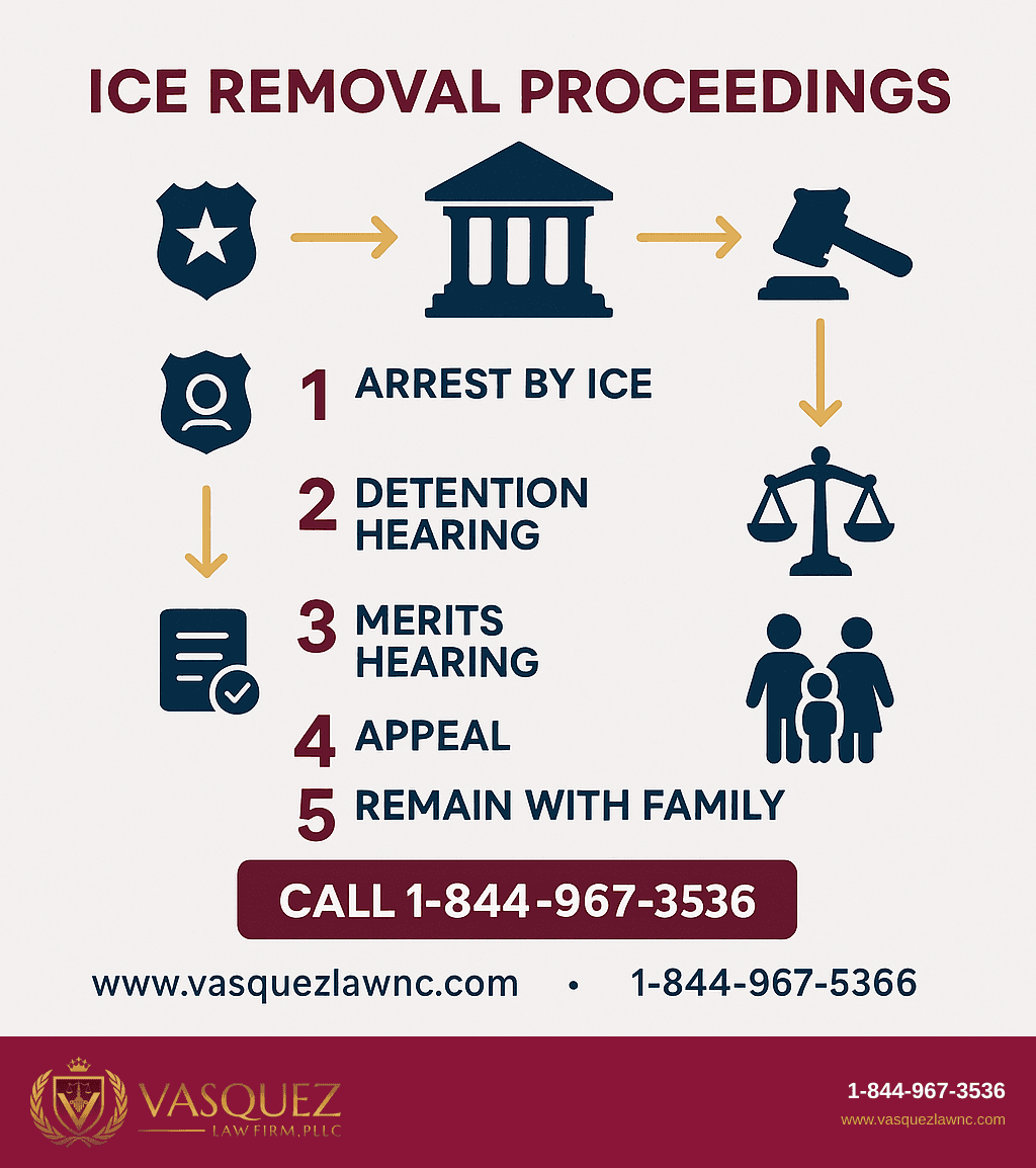 Visual Guide 1 for What You Need to Know About ICE Removals in 2026