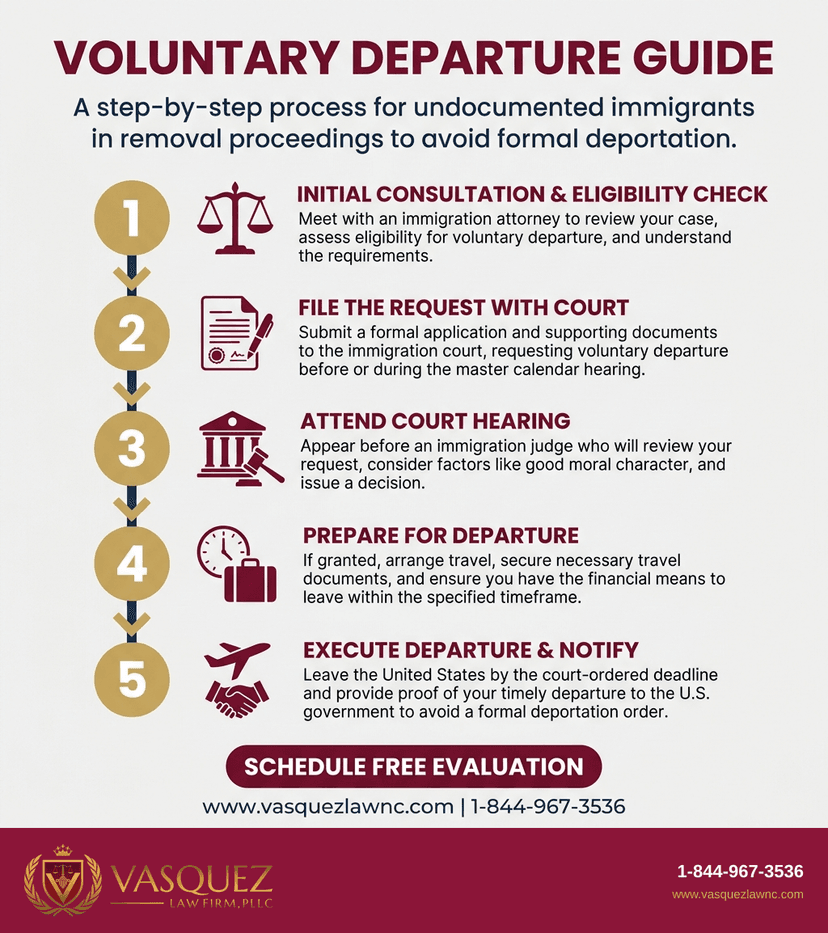Process Timeline for What Happens With Voluntary Immigrant Departures in 2026