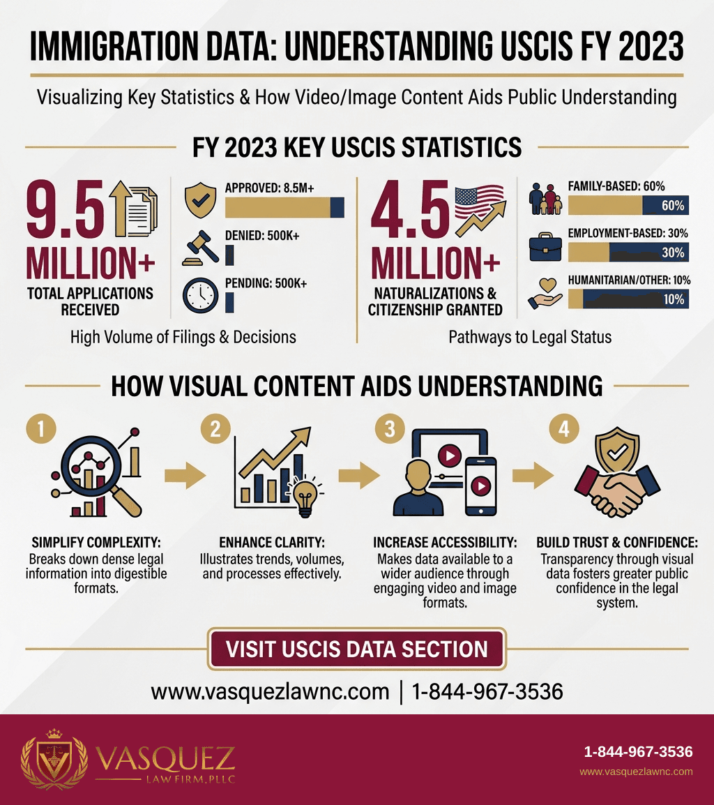 Process Timeline for How Does USCIS Immigration Data Video and Image Gallery Work in 2026?