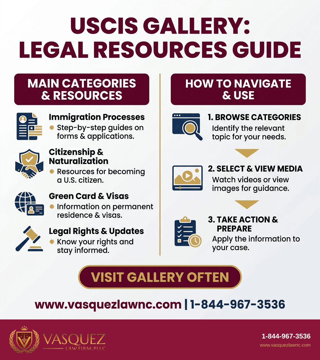 Process Timeline for What Is the USCIS Video and Image Gallery in 2026?