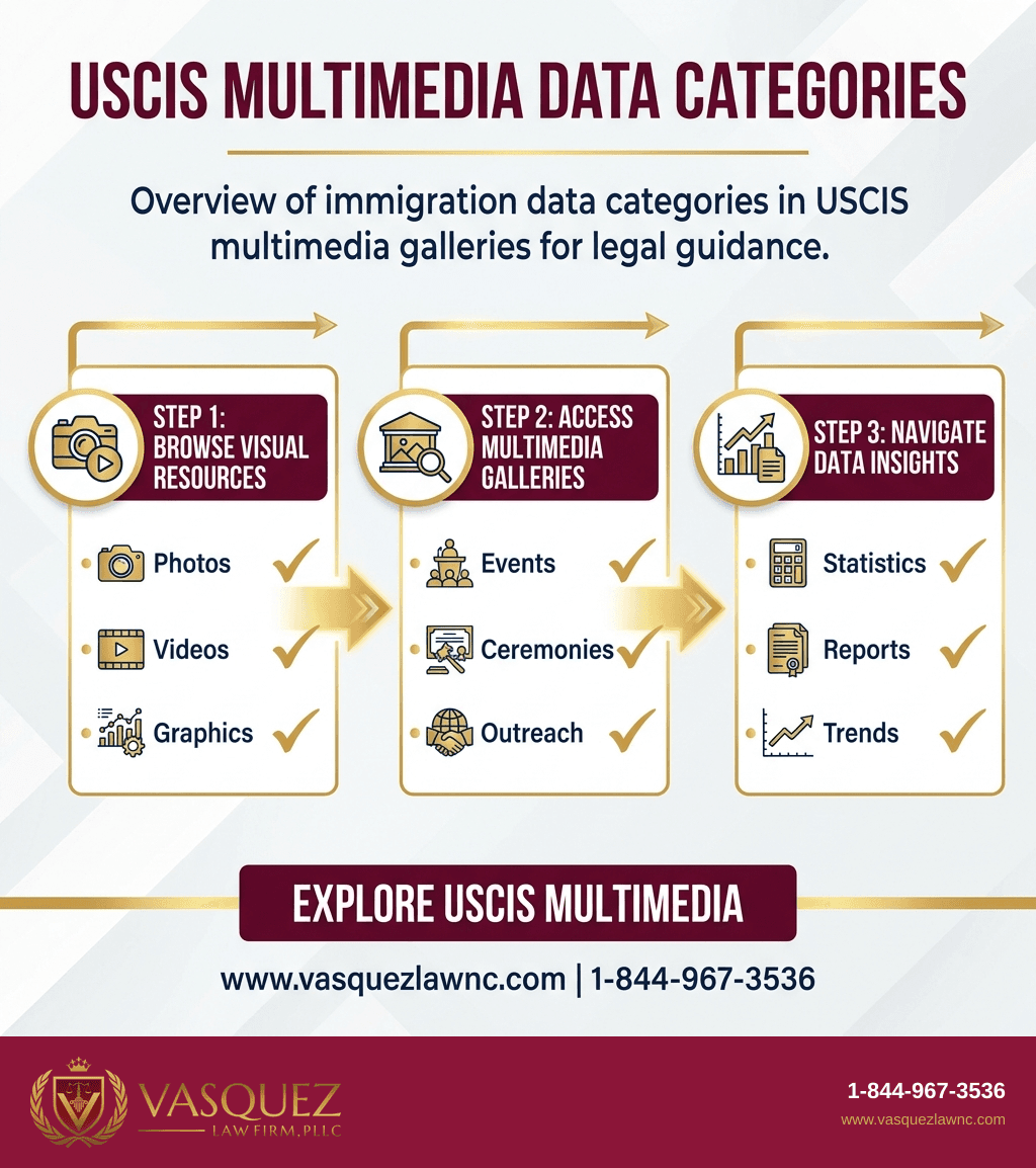 Process Timeline for How Does USCIS Use Video and Image Galleries in Immigration Data Reporting?