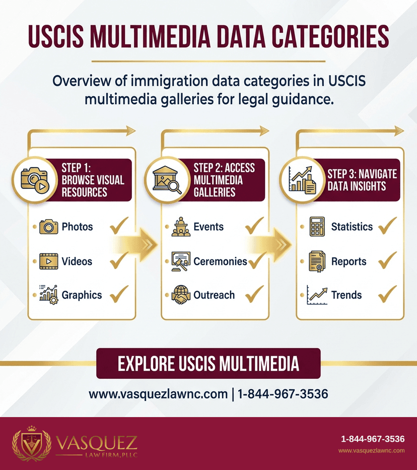 Process Timeline for How Does USCIS Use Video and Image Galleries in Immigration Data Reporting?