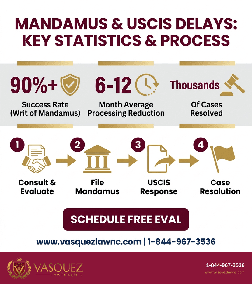 Process Timeline for What Is Mandamus and How It Works in Immigration in 2026