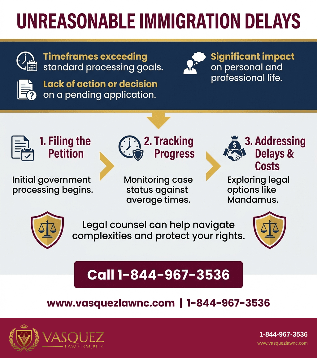 Visual Guide 2 for What Does Unreasonable Delay Mean in Immigration Law in 2026?