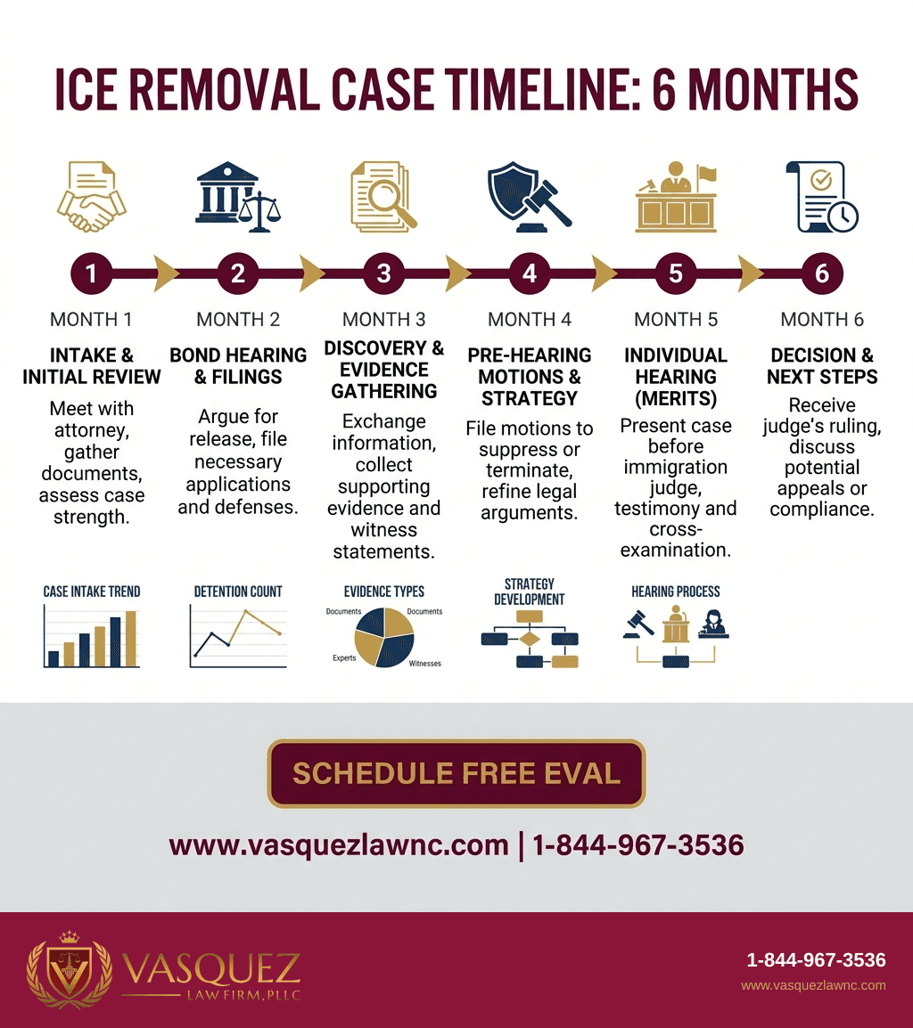 Infografía 2 para Todo lo que Debes Saber Sobre la Expulsión de ICE en 2026