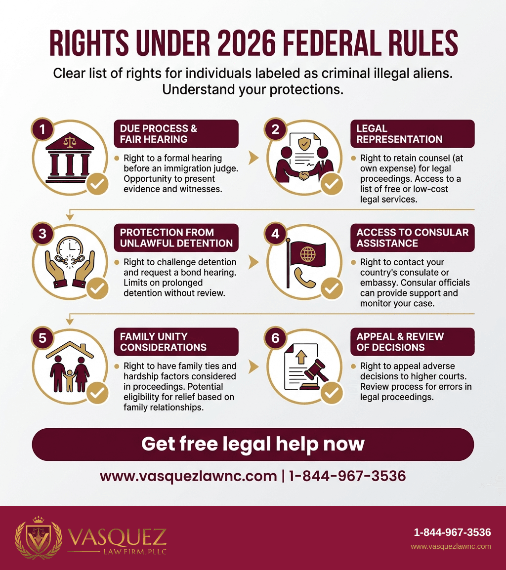 Infografía 2 para Casos de Extranjeros Ilegales con Antecedentes Penales: Derechos Clave y Datos para 2026