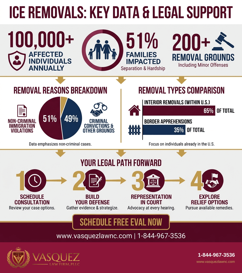 Visual Guide 2 for What You Need to Know About ICE Removals in 2026