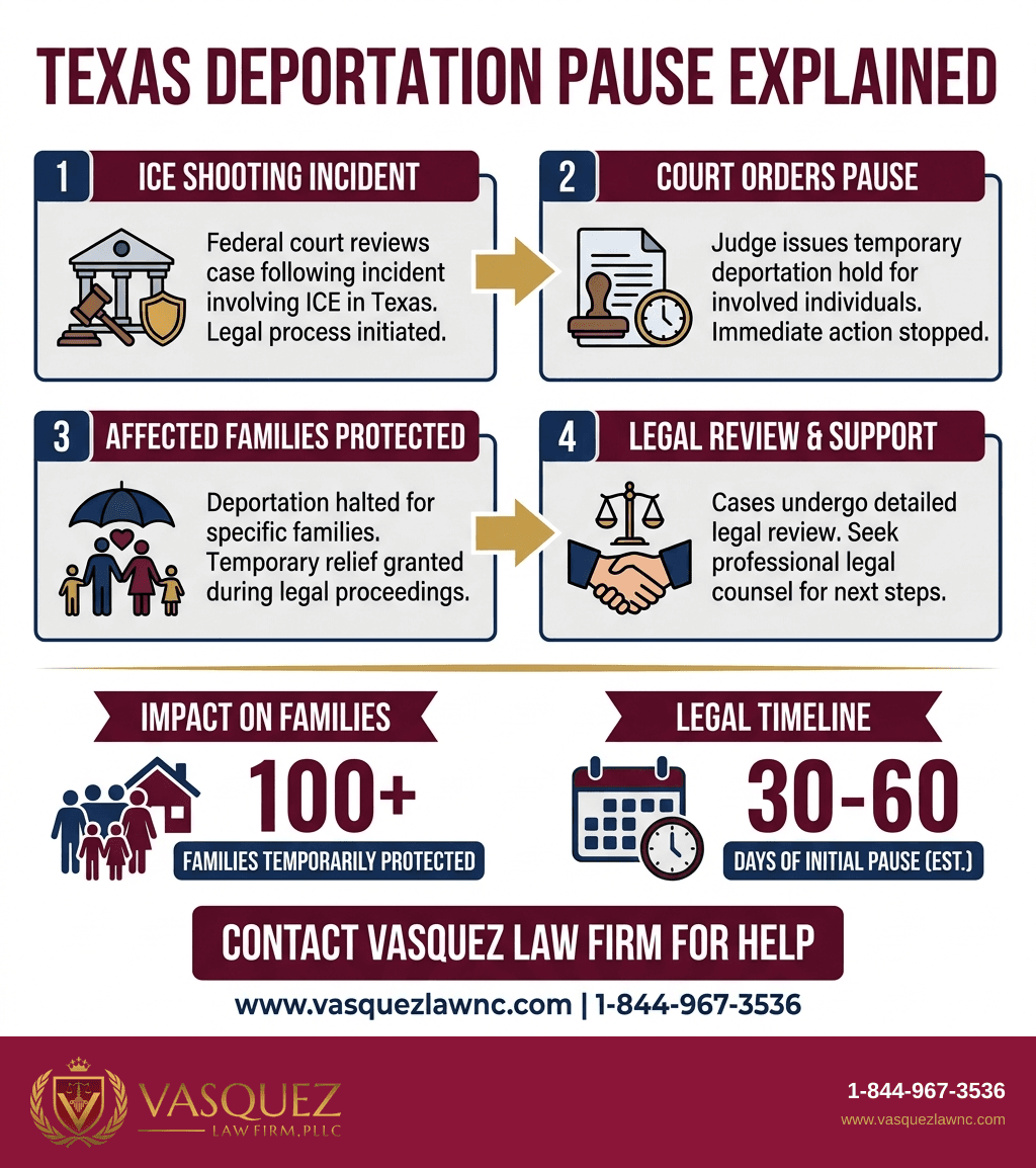 Process Timeline for Judge Pauses a Texas Deportation After an ICE Shooting